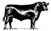 Paintrock Angus is a member of the American Angus Association