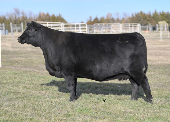 Emulous of Paintrock 93.9