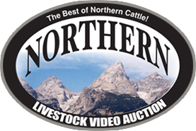 View the videos and sale information at Northern Livestock