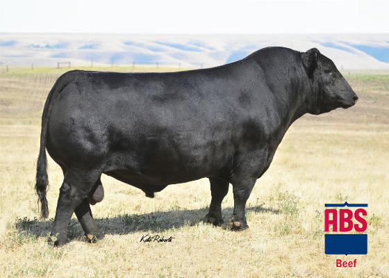 Paintrock Mountain Man