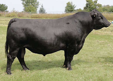 Mohnen Substantial 272