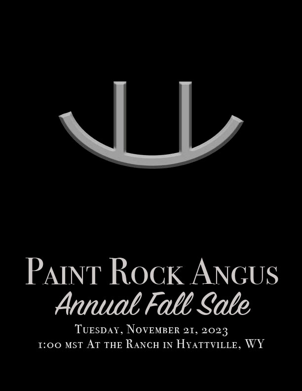 Paint Rock Sale Catalog