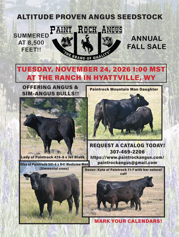 2026 11 24 PaintrockSale November 2026 Paintrock Angus Sale Flyer